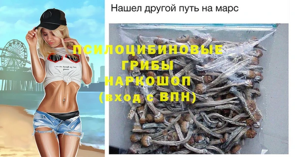 ПСИЛОЦИБИНОВЫЕ ГРИБЫ Бердск
