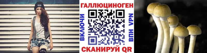Галлюциногенные грибы прущие грибы купить сайты кракен маркетплейс Невинномысск