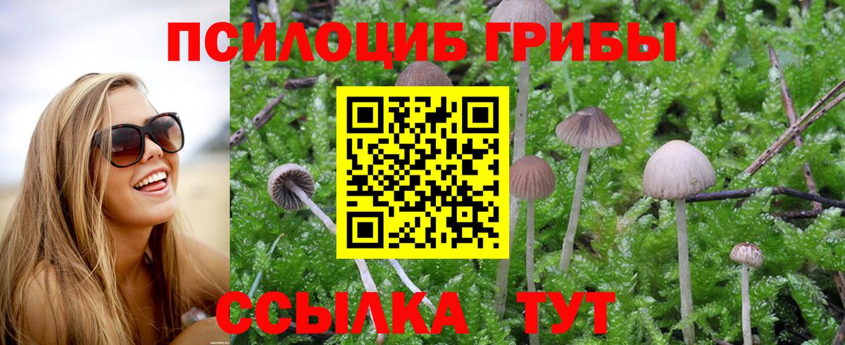 Галлюциногенные грибы MAGIC MUSHROOMS  Вход с VPN  Невинномысск 