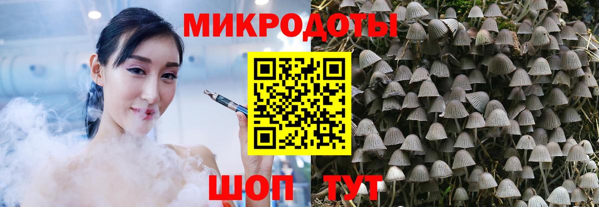 Галлюциногенные грибы Psilocybine cubensis Невинномысск
